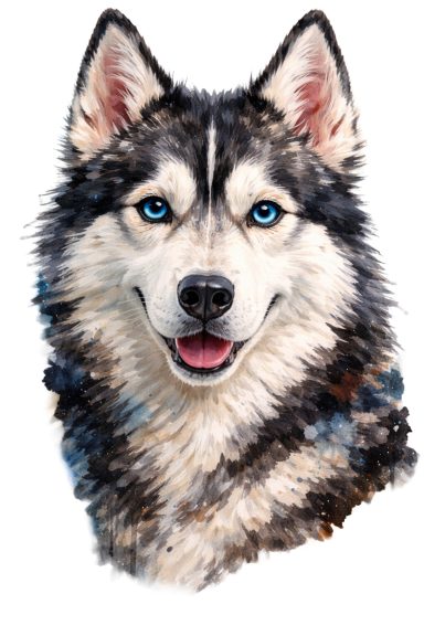 Chien Husky tableau peinture